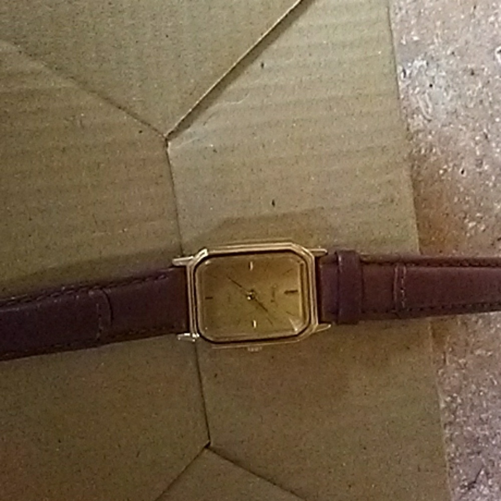 Timex watch